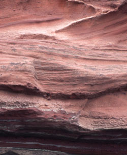 Old Red Sandstone, Pease Bay, Schottland